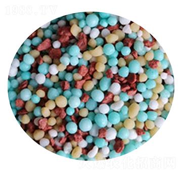 �D����ɒ��A�Ȼ��@�w����-���r����