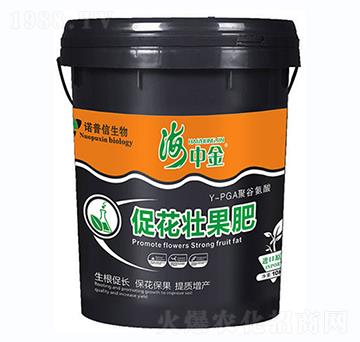 �ٻ��ѹ���-���н�-�Z����