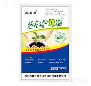 ����������-ʩ����-���ο���