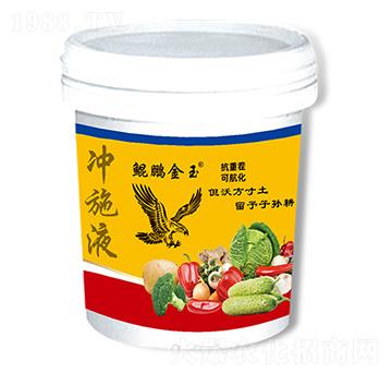 �_ʩҺ-�����r�I(y��)