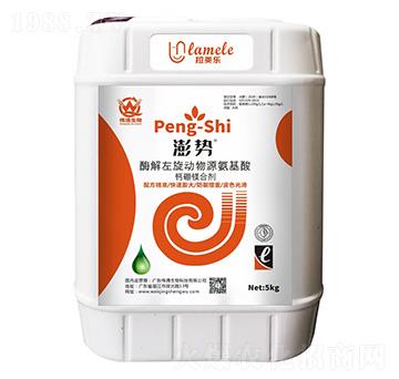 ø��������(d��ng)�ﰱ�����}���V�τ�-���-��������