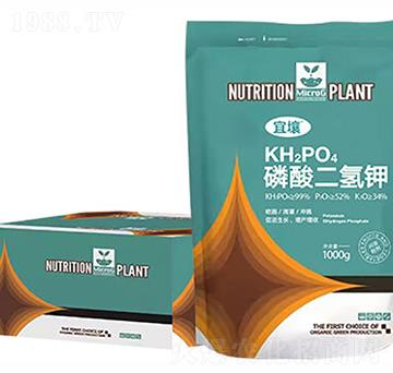 ��������-����-�t������