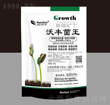 500g���S����-�՝�(r��n)�S