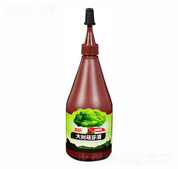 �����ѿҺ-ɭ��-�����r(n��ng)��