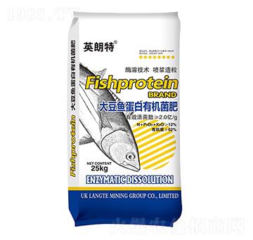 �󶹵����ЙC(j��)����-Ӣ����