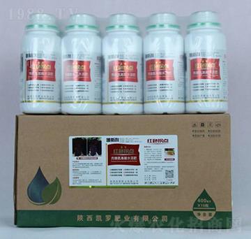 �tɫ���c-�P�_�ʘI(y��)