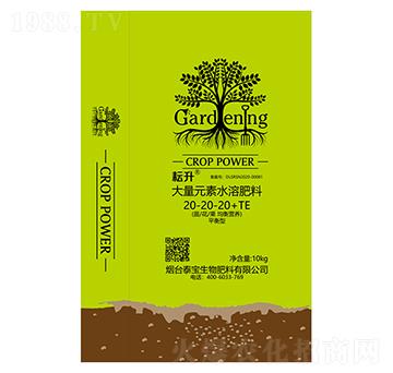 ����Ԫ��ˮ�ܷ�20-20-20+TE-̩������