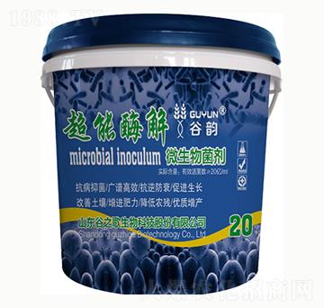 ����ø��΢�������-���-��֮��