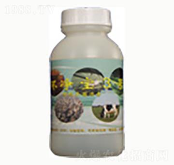 環(huán)凈寶3號(hào)-賜?？? width=