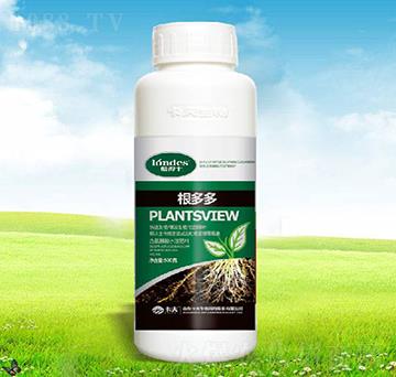 �����-������