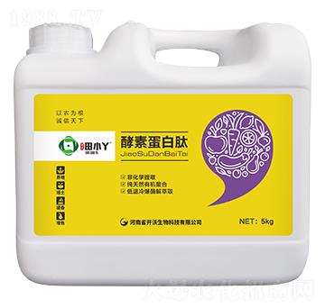 ���ص�����-��СѾ-�_������