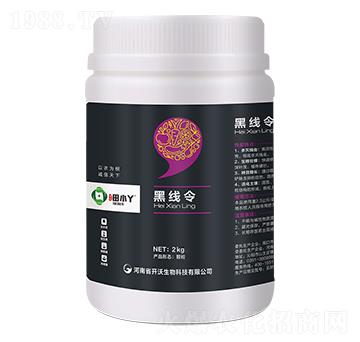 �ھ���-��СѾ-�_������