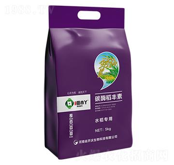 ̼ø���S��-��СѾ-�_(k��i)������