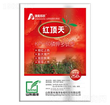 �t���-���S