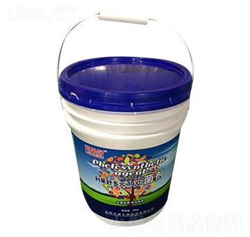 �������Ԫ��ϼ�(x��)������-�SԴ