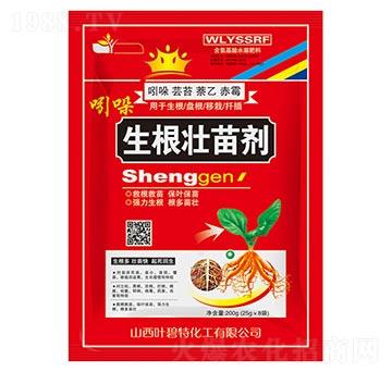 �������焩-�~����