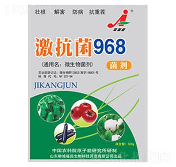 ������968����-��������