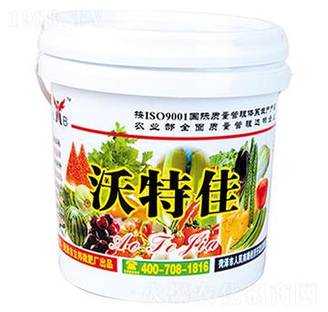 ���ؼ�-��������