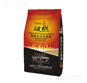 �ЙC(j��)С����̼��-̼ȼ������-�Qһ