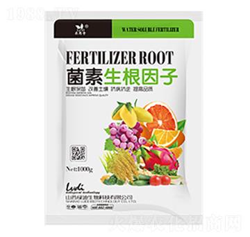 ������������-�G��