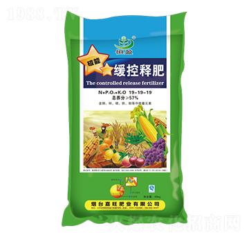 ����ጷ�19-19-19-����