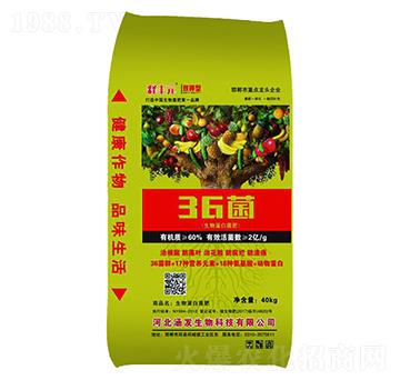 ��SԪ36��-���l(f��)����