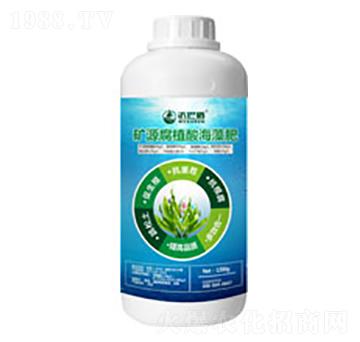 �VԴ��ֲ�ả���-����������