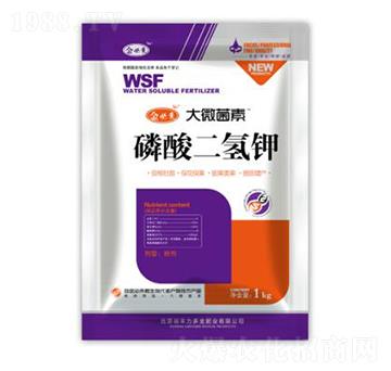 ��������-��΢����-��؁�����