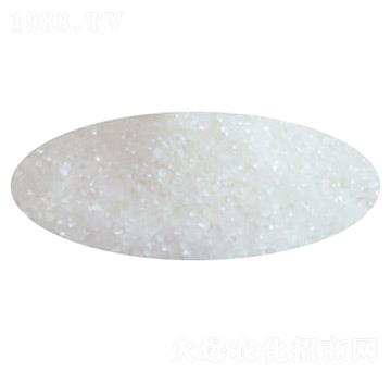 ���w�������@-ʢ��ʘI(y��)