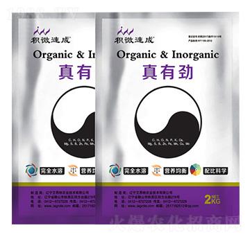 ���Є�-������