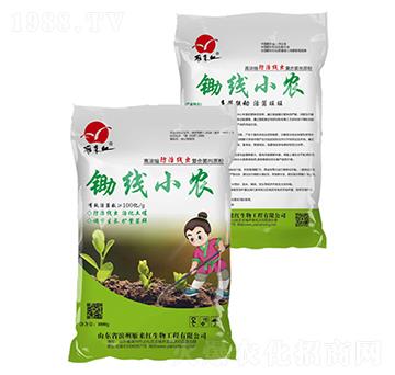 �z��С�r(n��ng)-����t