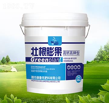 ���}����͉Ѹ�������{