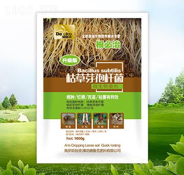 1000g�ݲ�ѿ�ߗU��