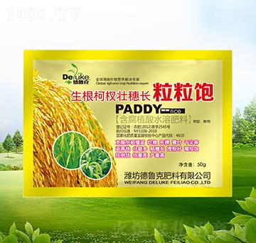 �����������L�����-