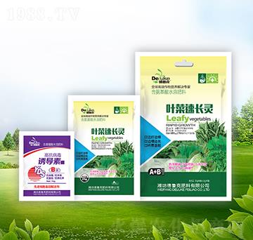 �~�����L�`+�T����-��