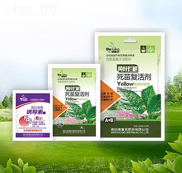 �S�~��������ͻ+�T