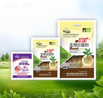 �������焩+�T����-��