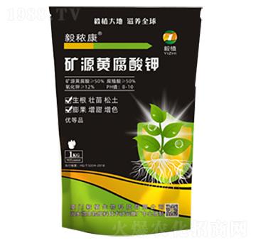 �VԴ�S�����-�㶌��-��ֲ