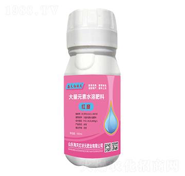 ����Ԫ��ˮ�ܷ���-�t��-����t��Ԫ