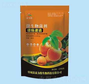 ΢�������-��������-������