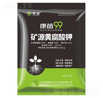 �VԴ�S�����-����99-���R��