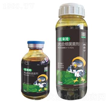 ��ϼ�(x��)������-ϲ����-ϲ����