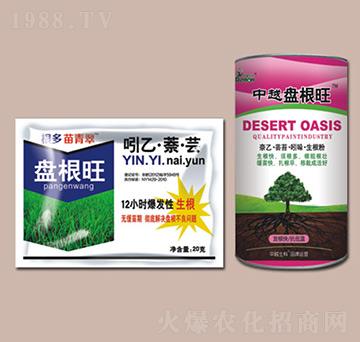 中越盤根旺-德農