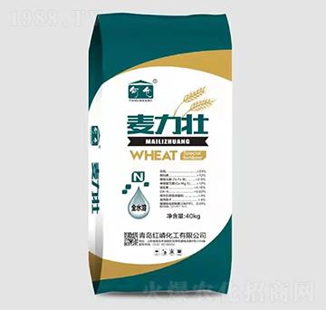 ������-�t�׻���