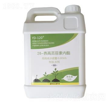 28�����|̦�؃���-�����m�r�I(y��)