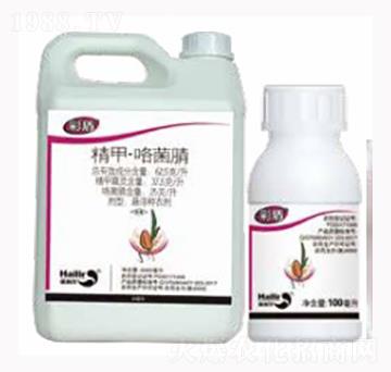 ���ס�������-�ʶ�-������