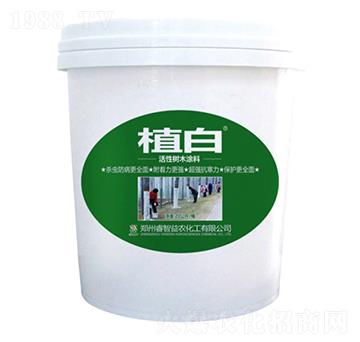 20����ֲ�׻��Ԙ�ľͿ��-������r(n��ng)