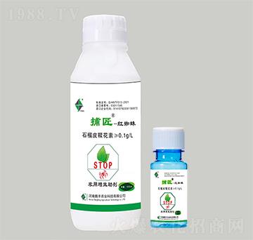 �r(n��ng)����Ч����-�������t֩�댣�ã�-�v�S�r(n��ng)�I(y��)