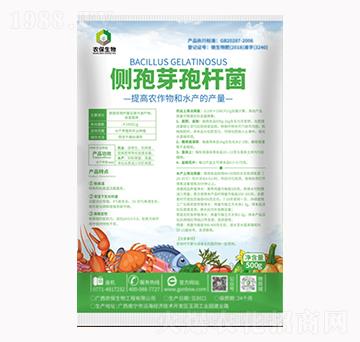 側孢芽孢桿菌-農(nóng)保生物