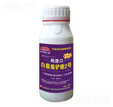 ΢�����-���M�ڰ׸����P��2̖-���S��